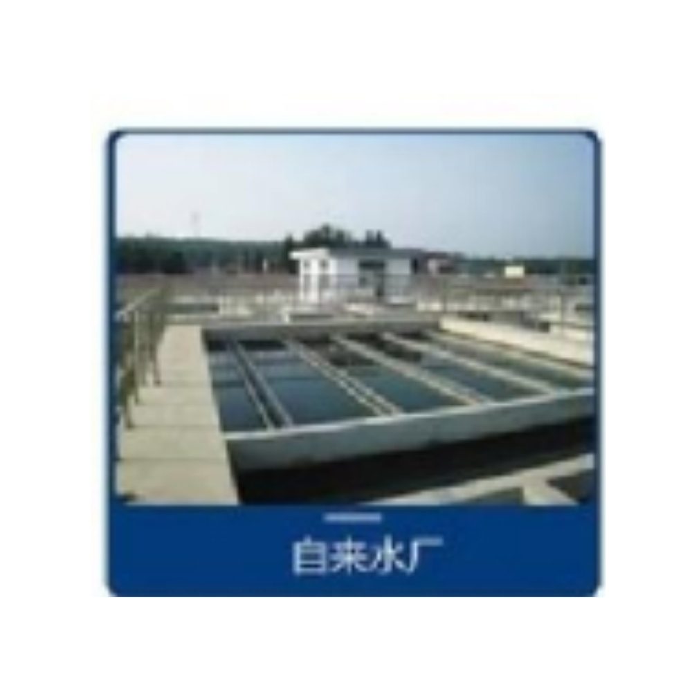 污水处理过程离子传感器